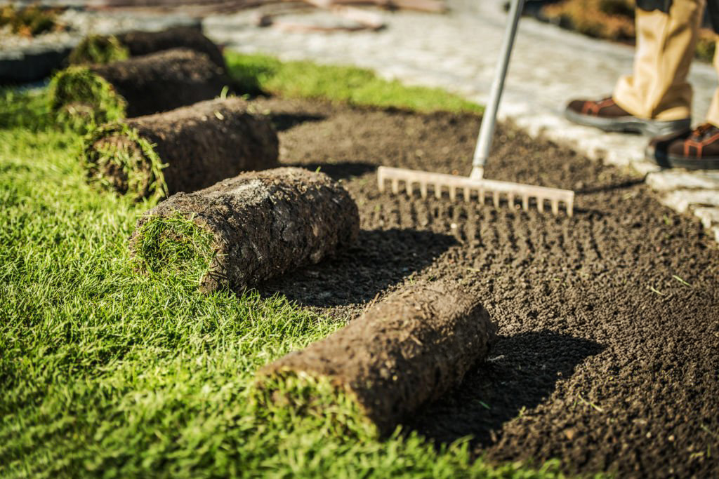 Landscaping Service - Sod Installation