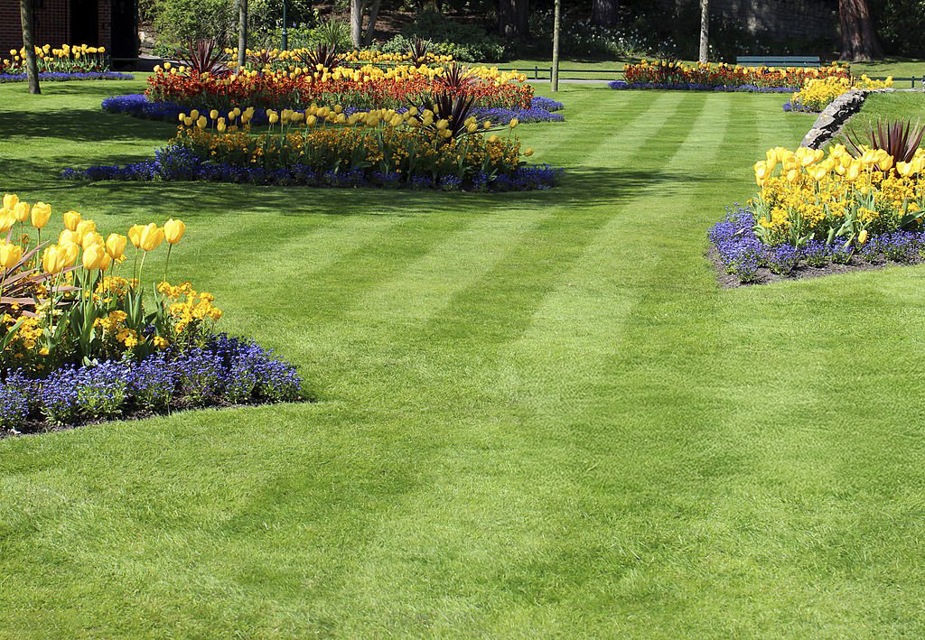 Landscaping Services - Lawn Mowing