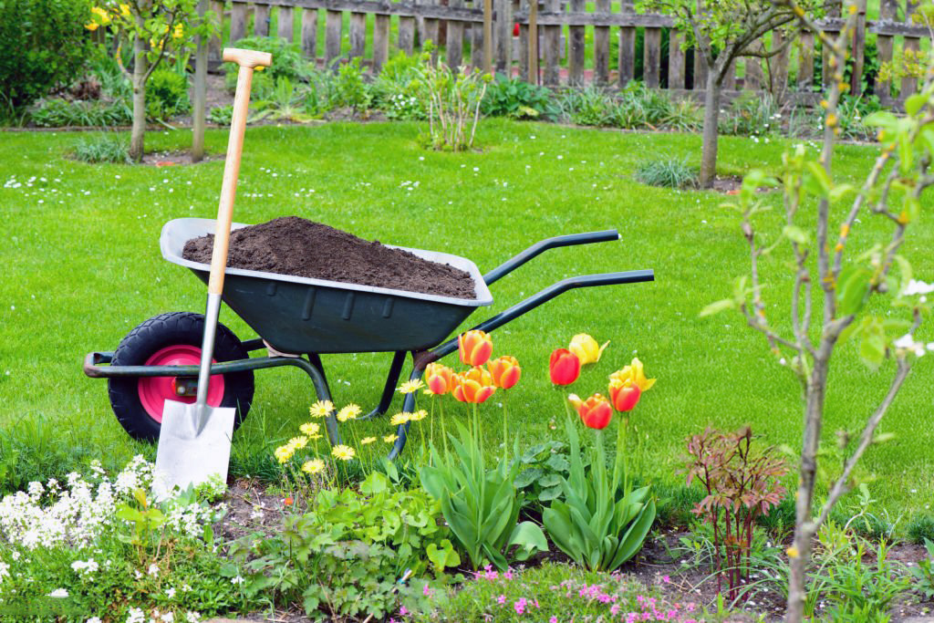 Landscaping and Gardening Services