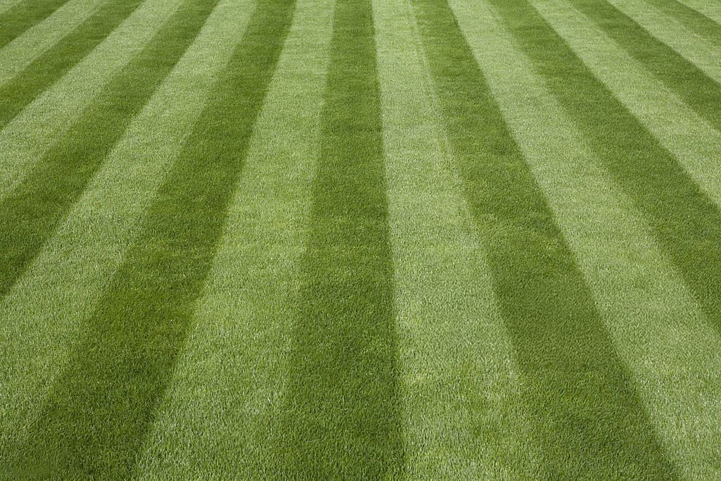 Lawn Mowing Service - Landscaping Services