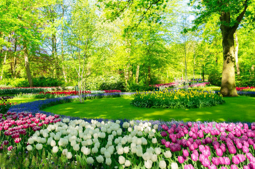 Outdoor Maintenance - Landscaping Services in Oakville