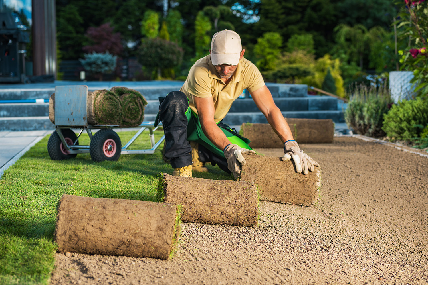 Sod Installation Service in Oakville